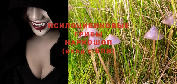 spice Елизово
