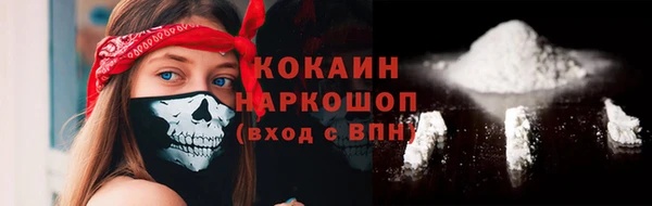 spice Елизово