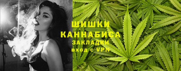 spice Елизово