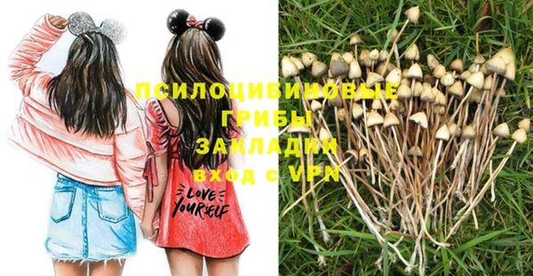 кокаин Ельня